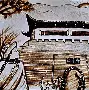 A brief introduction to Aiyi Aimei Shu Hao